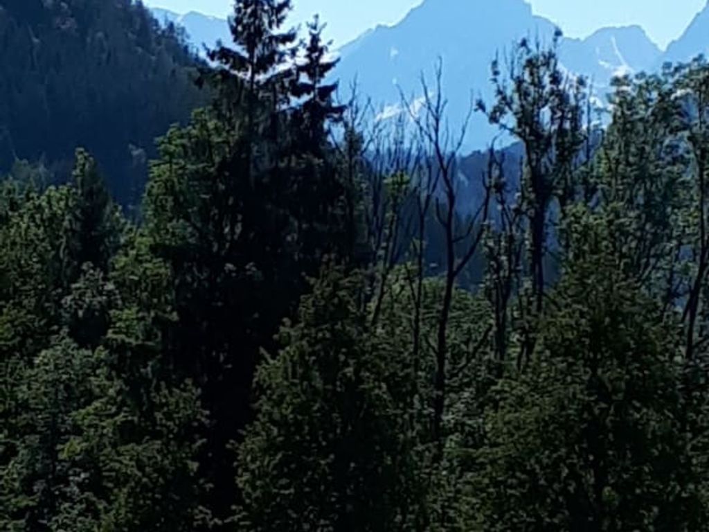 Aussicht auf die Spitzmauer