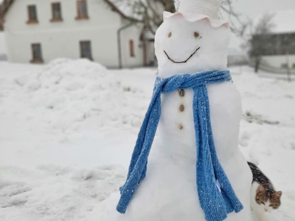 Ein Schneemann und eine Katze im Schnee vor dem Bauernhof.