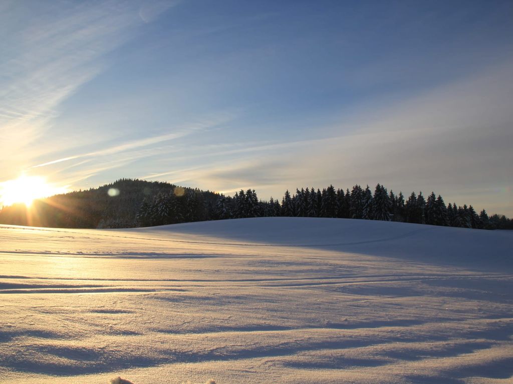 Schneebedeckte Felder und Waldrand in der Winterlandschaft des Mühlviertels bei Sonnenlicht.