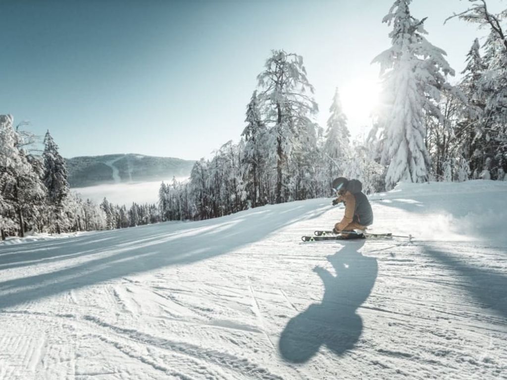 Ein Skifahrer auf einer sonnigen Piste, umgeben von verschneiten Bäumen, eine Wintersportmöglichkeit in der Region des Bauernhofs.