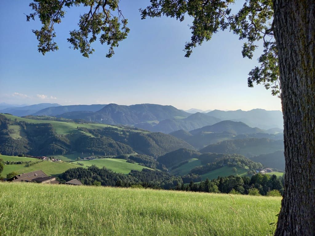 Ausblick