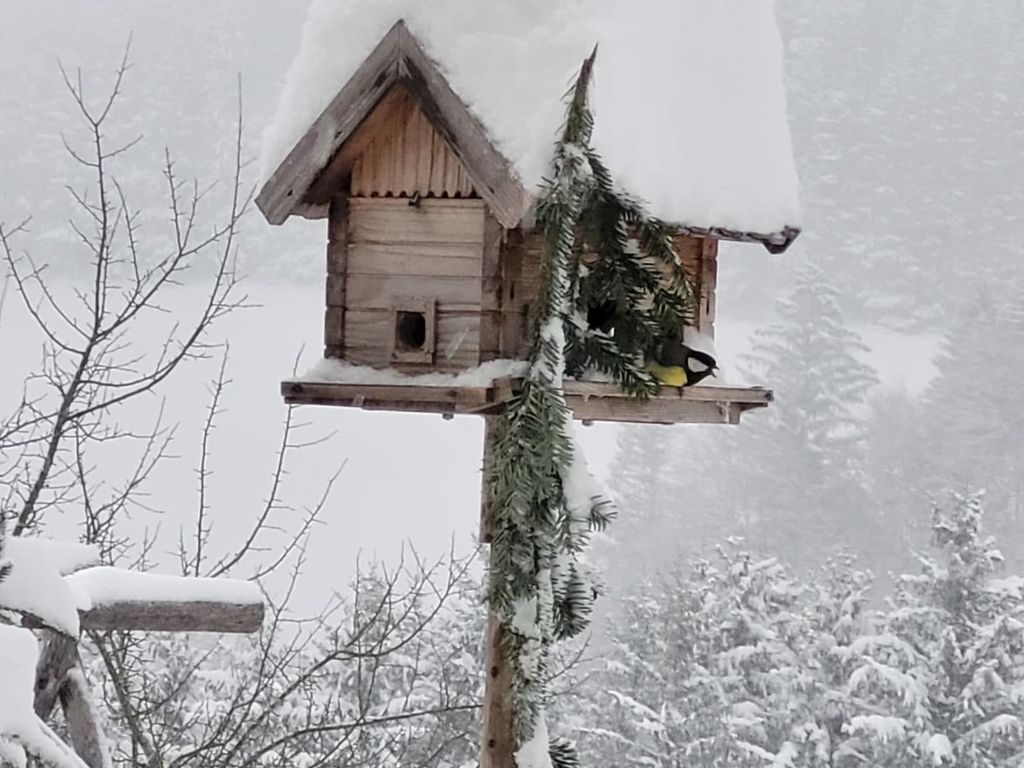 Kräuterhof Miesrigl
