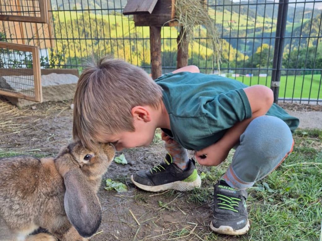 Tierkontakt für Kinder mit einem Kaninchen auf dem Bauernhof.