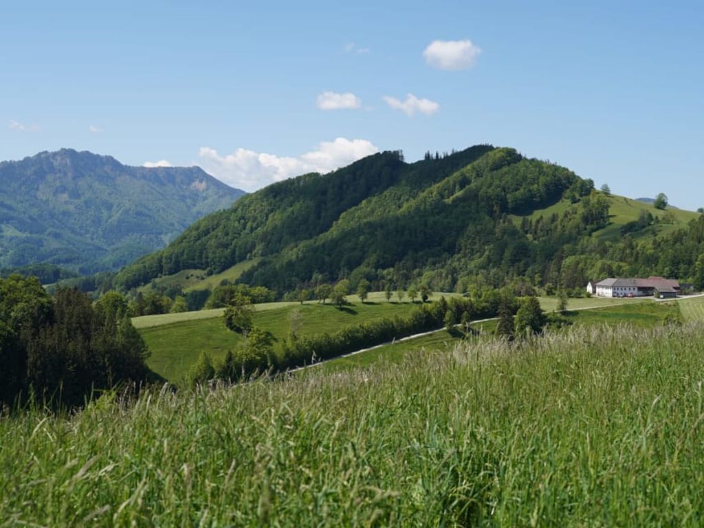 Wunderschöne Alleinlage auf einem sonnigen Bergrücken