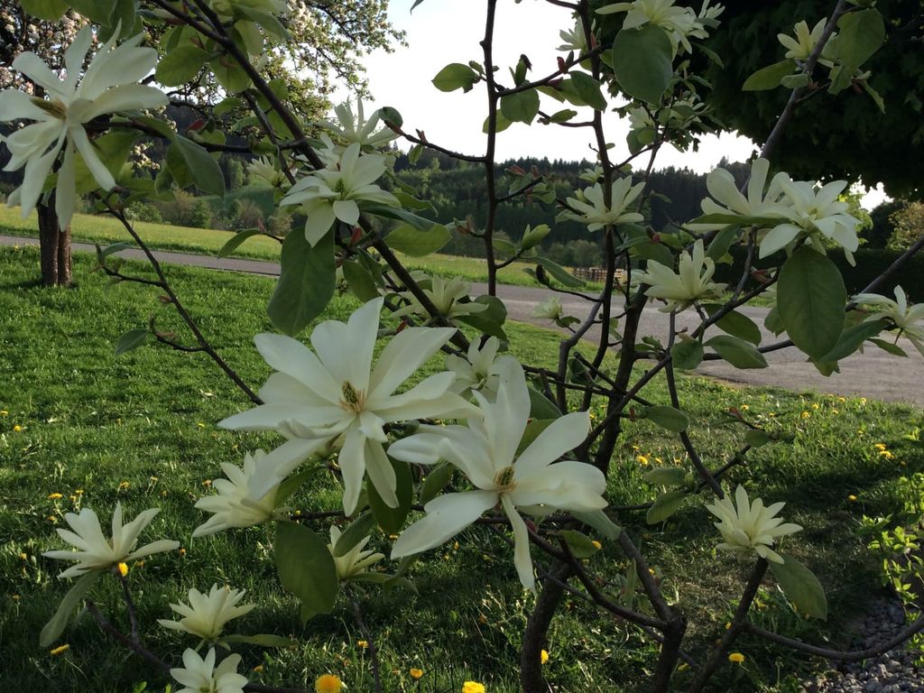 Ferienbauernhof Koller