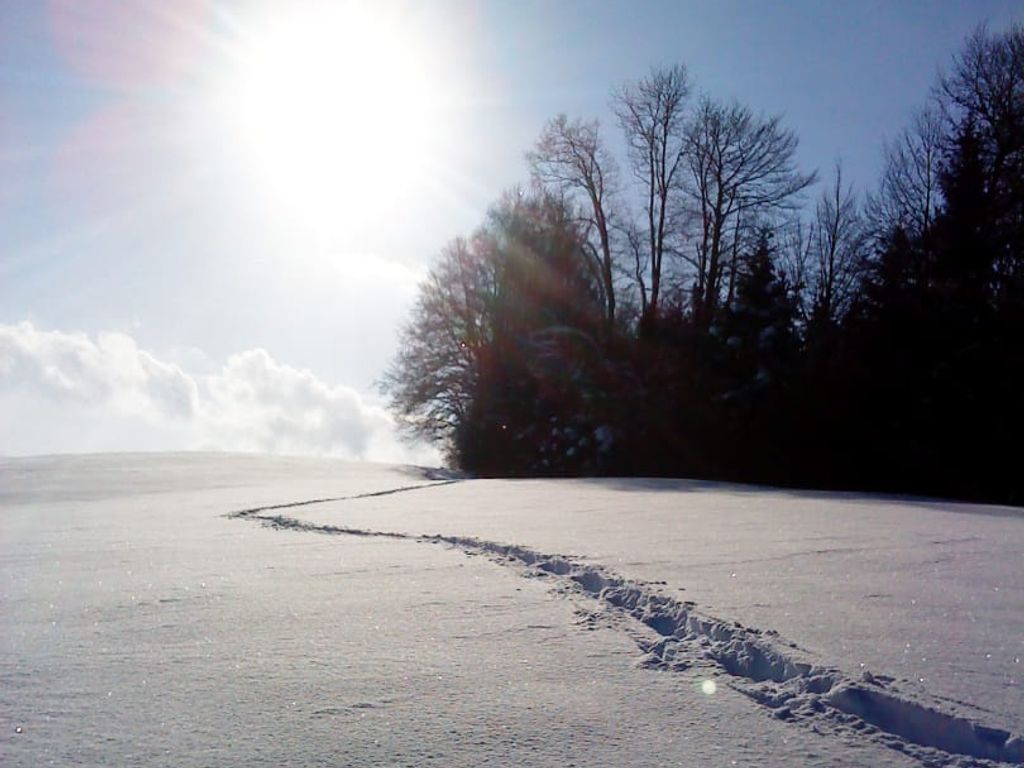 Schneeschuhwandern