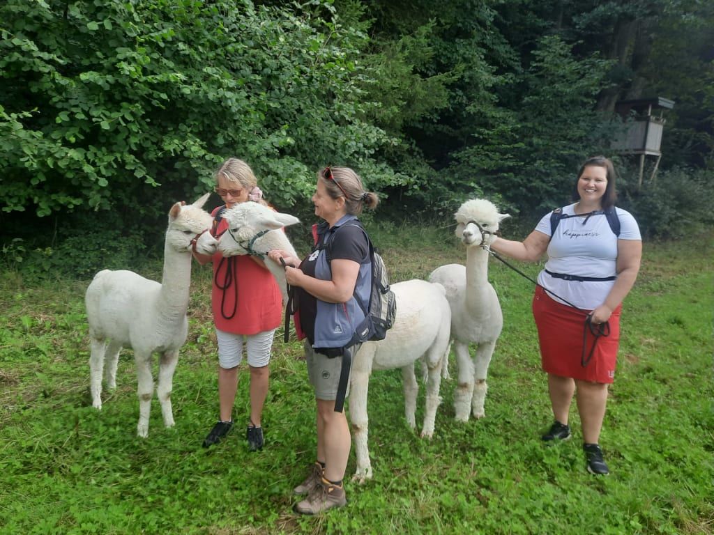 Sweet Home Alpacas