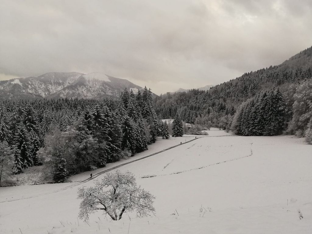Vom Egelsee