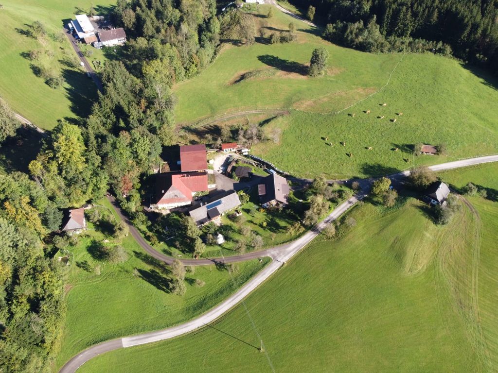 Bruckbacher von oben