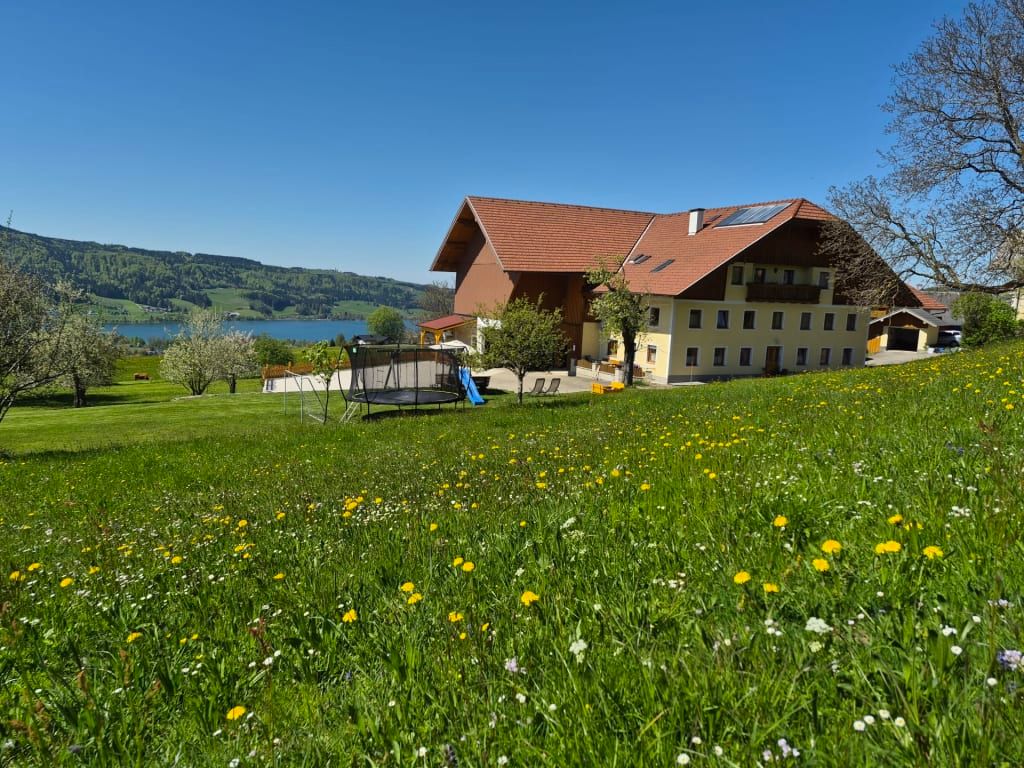 Der Bauernhof mit großer Wiese, Trampolin und Rutsche bietet einen Blick auf den See und die Berge.