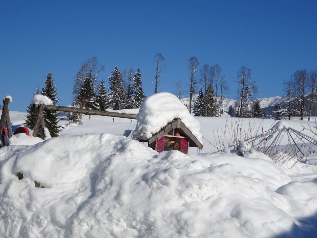 Garten im Winter