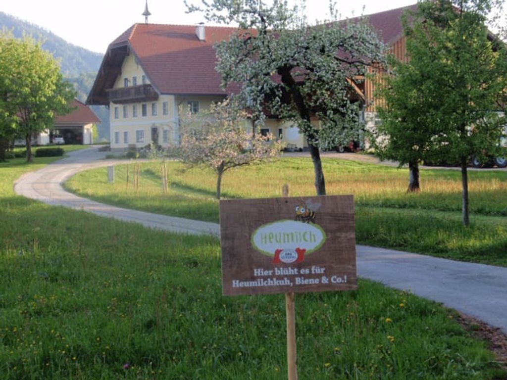 Bio-Bauernhof Vordergschwandtgut