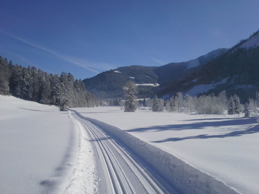 Langlaufloipe Faistenau (c) TVB Faistenau