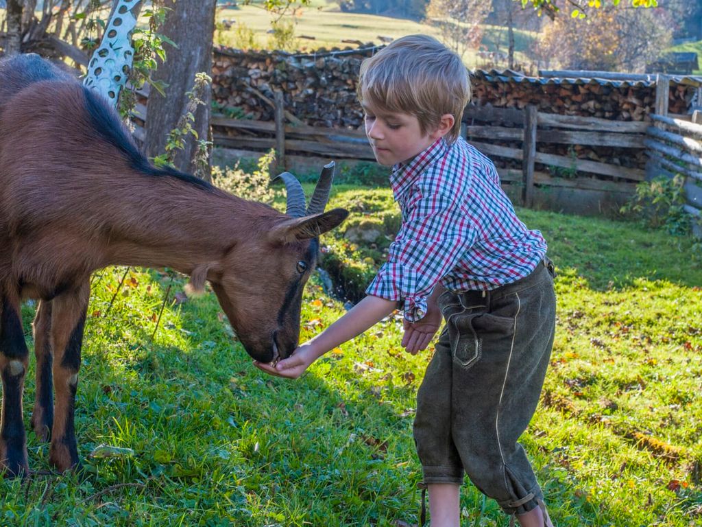 Tiere füttern und streicheln