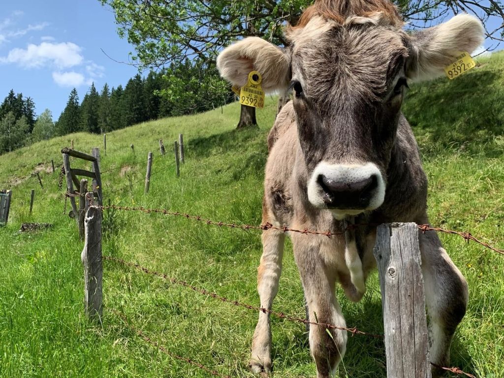 Ferienanlage Reithof