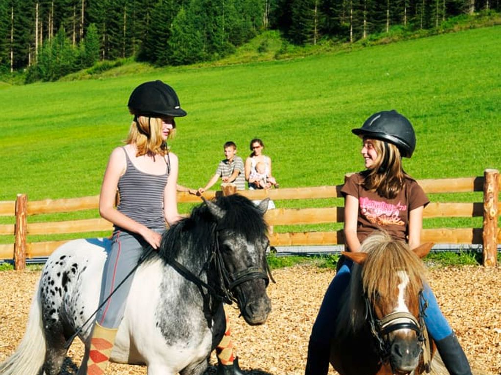 Ponyreiten für Kinder auf dem Bauernhof, mit einer grünen Wiese und Bäumen im Hintergrund.