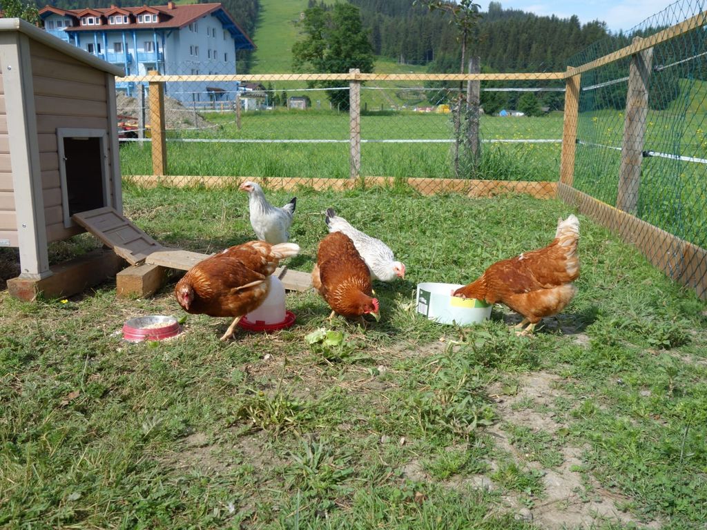 Ausserraingut