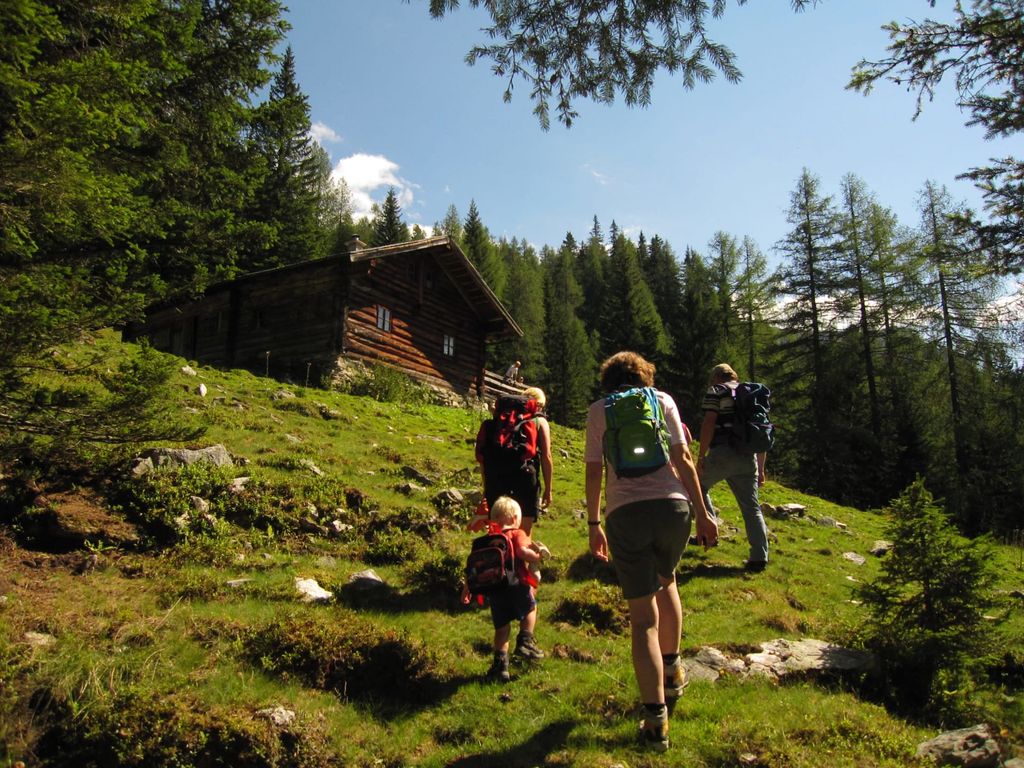 Ampferkaralm-Hütte