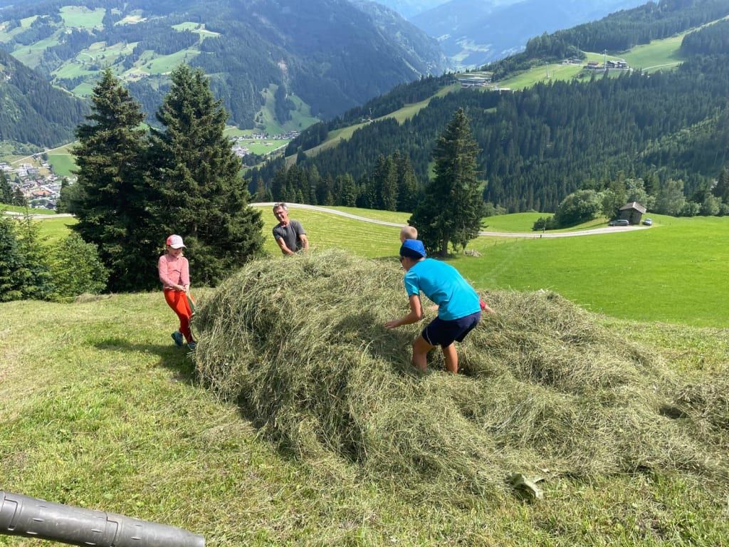 Pfandlinghof