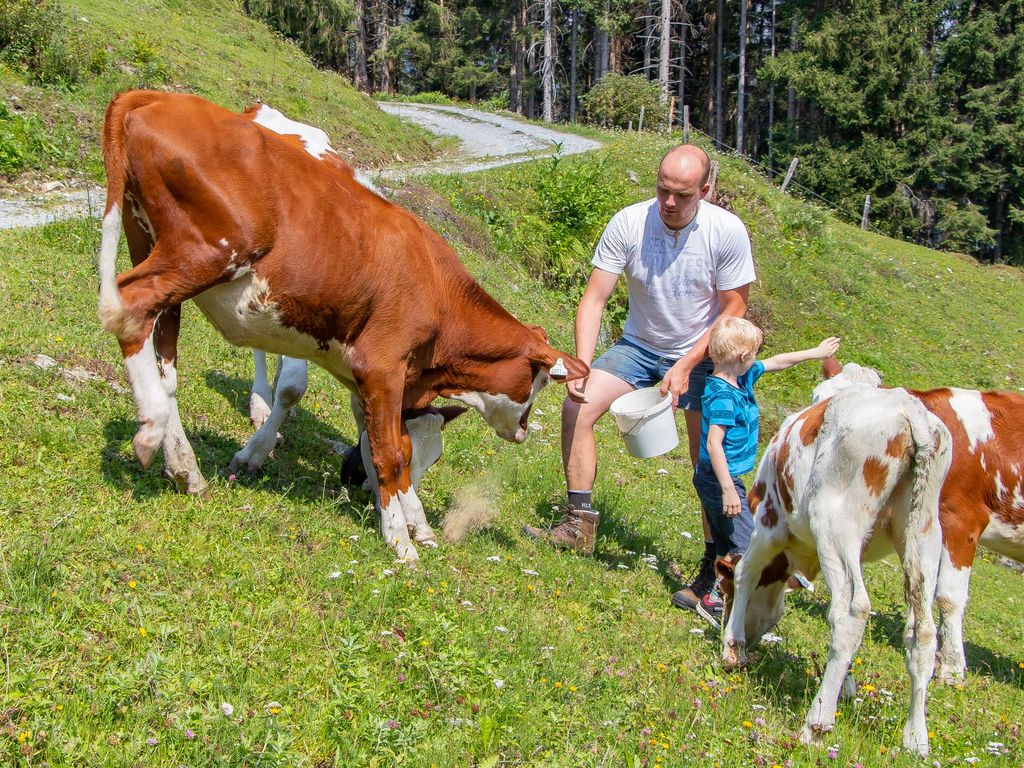 Kälber