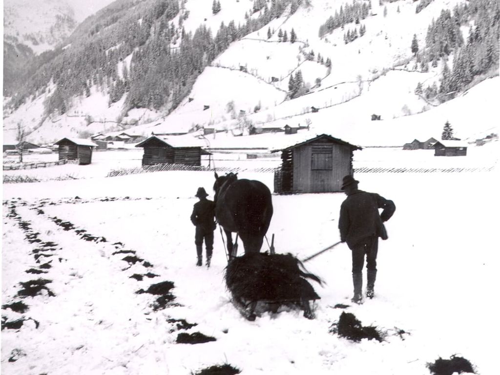 Schornlehen