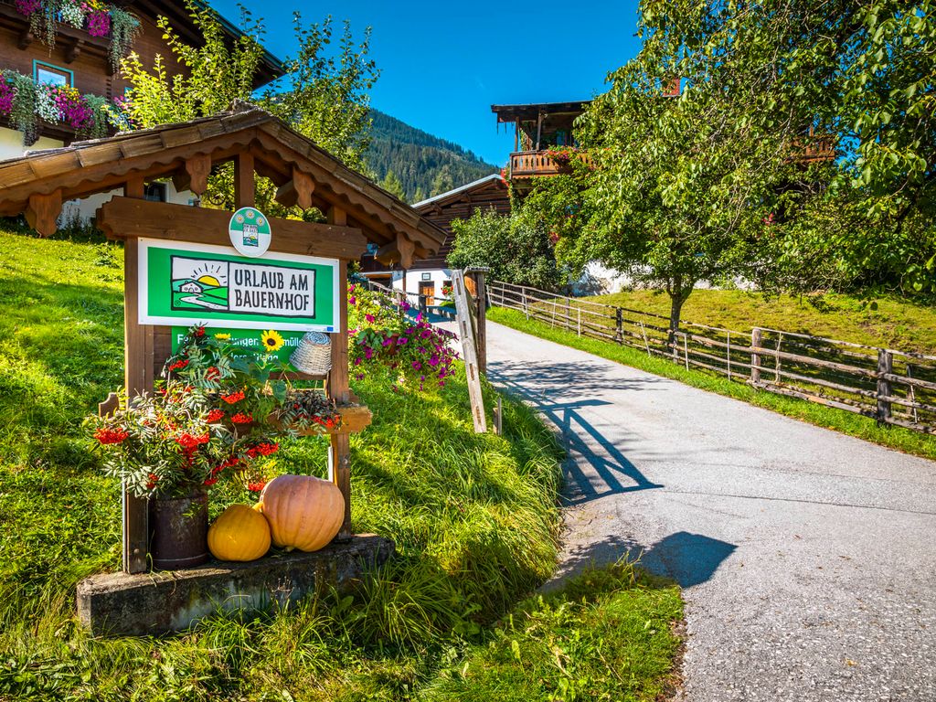 Das Eingangsschild des Hofes, geschmückt mit Beeren und Kürbissen, und die Zufahrt zu den Hofgebäuden.