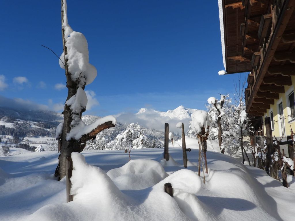 Biohof - Einberghof