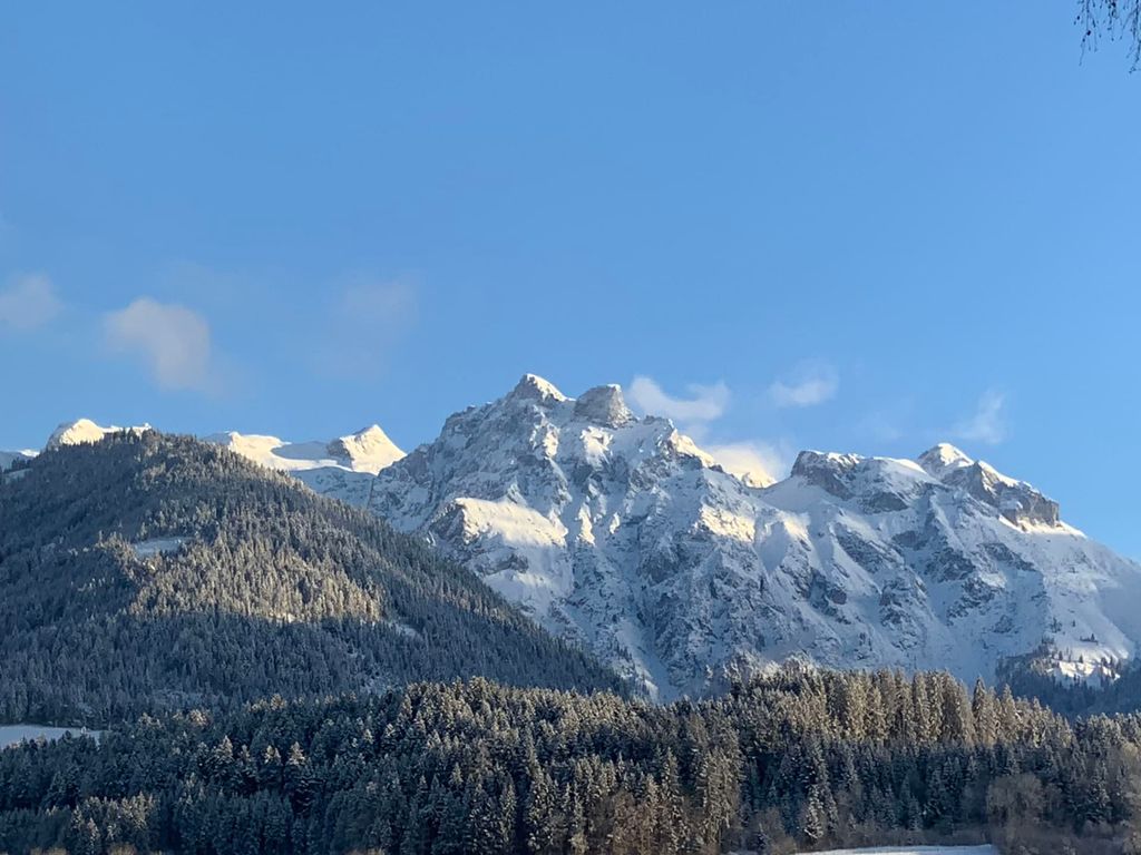 Blick auf die verschneiten Berge und den Wald vom Bauernhof aus.