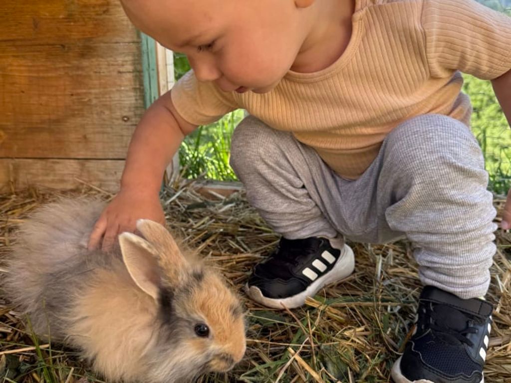 Ein Kind streichelt ein Kaninchen im Gehege des Bauernhofs.