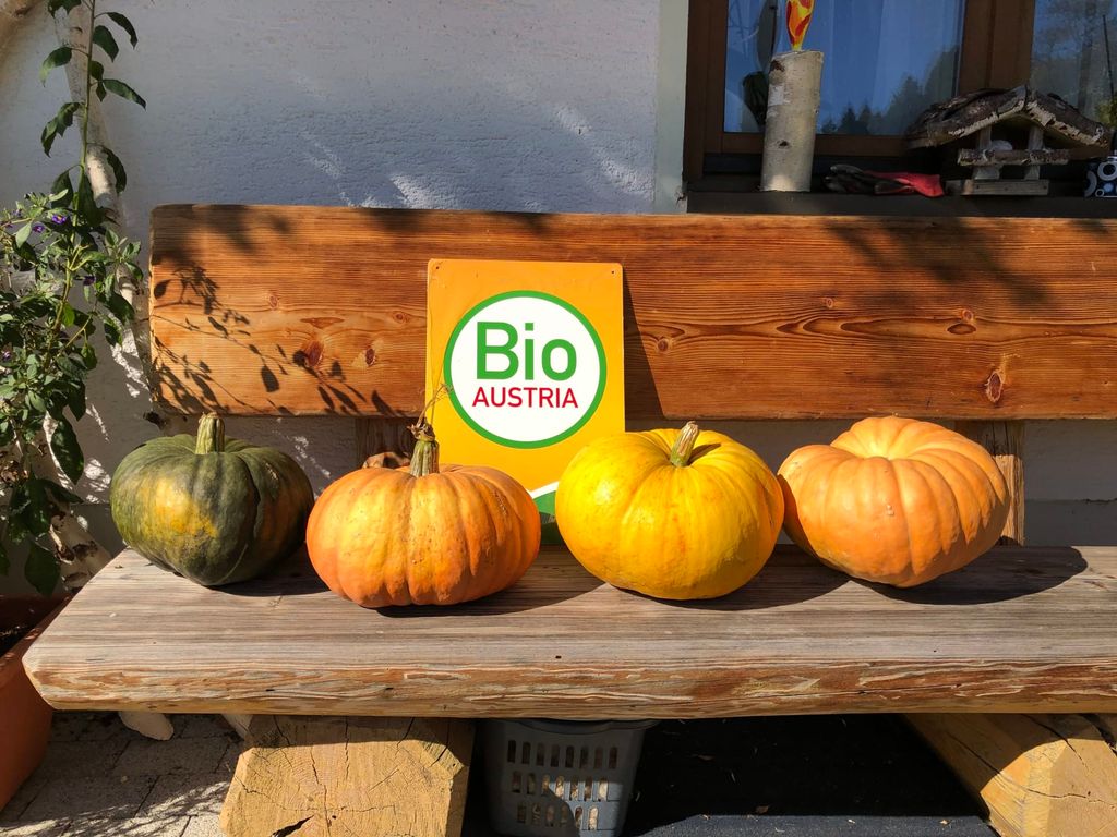 Kürbisse und das Bio AUSTRIA-Siegel auf einer Holzbank am Bauernhof, das unsere biologische Landwirtschaft kennzeichnet.