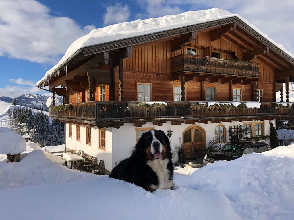 Unser Bauernhof und unser Hofhund