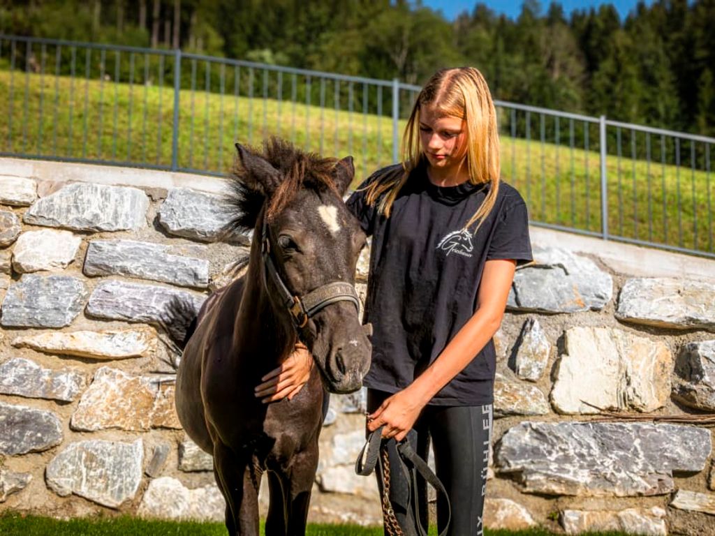 Ein zutrauliches Pony auf dem Bauernhof, umgeben von grüner Natur.