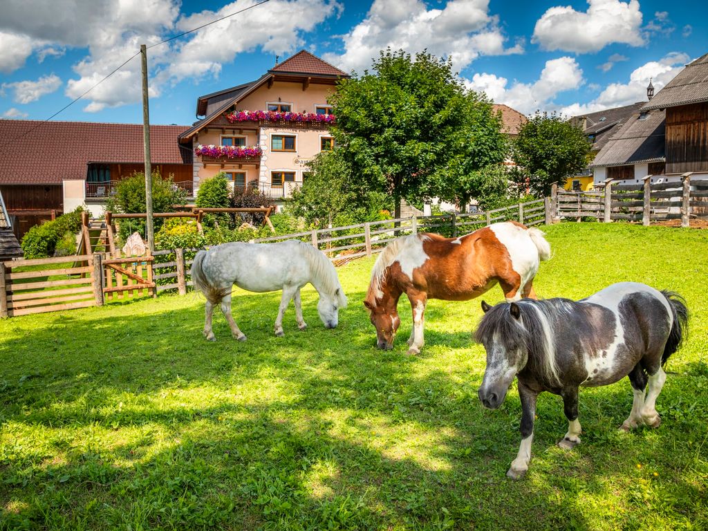 Drei Ponys grasen auf der Koppel des Bauernhofs.