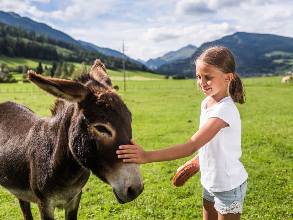 Gut Neusess Der kinderfreundliche Biobauernhof