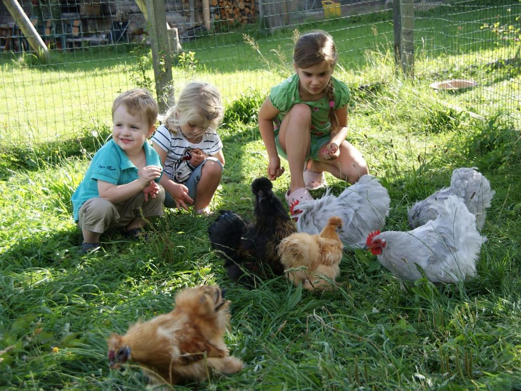 Kinder bei den Hühnern
