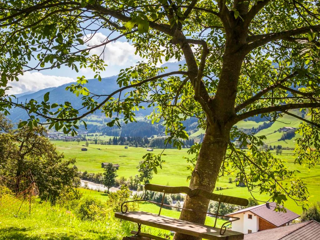 Mösenlehen
