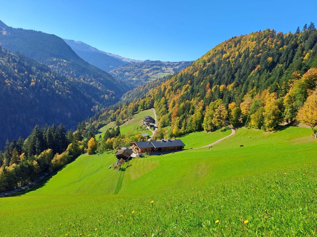 Der Schneiderbauernhof in Unken