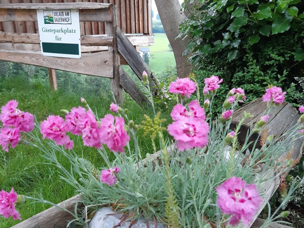 BIO-Bergbauernhof Kammerhofer vlg. Roath