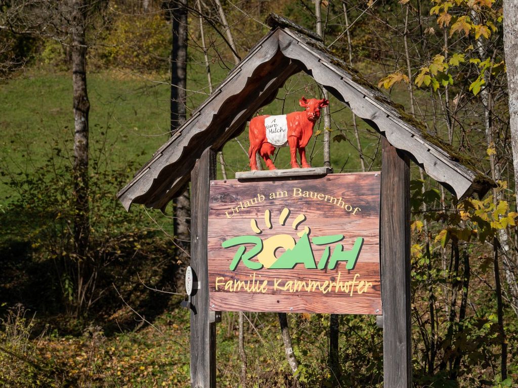 BIO-Bergbauernhof Kammerhofer vlg. Roath