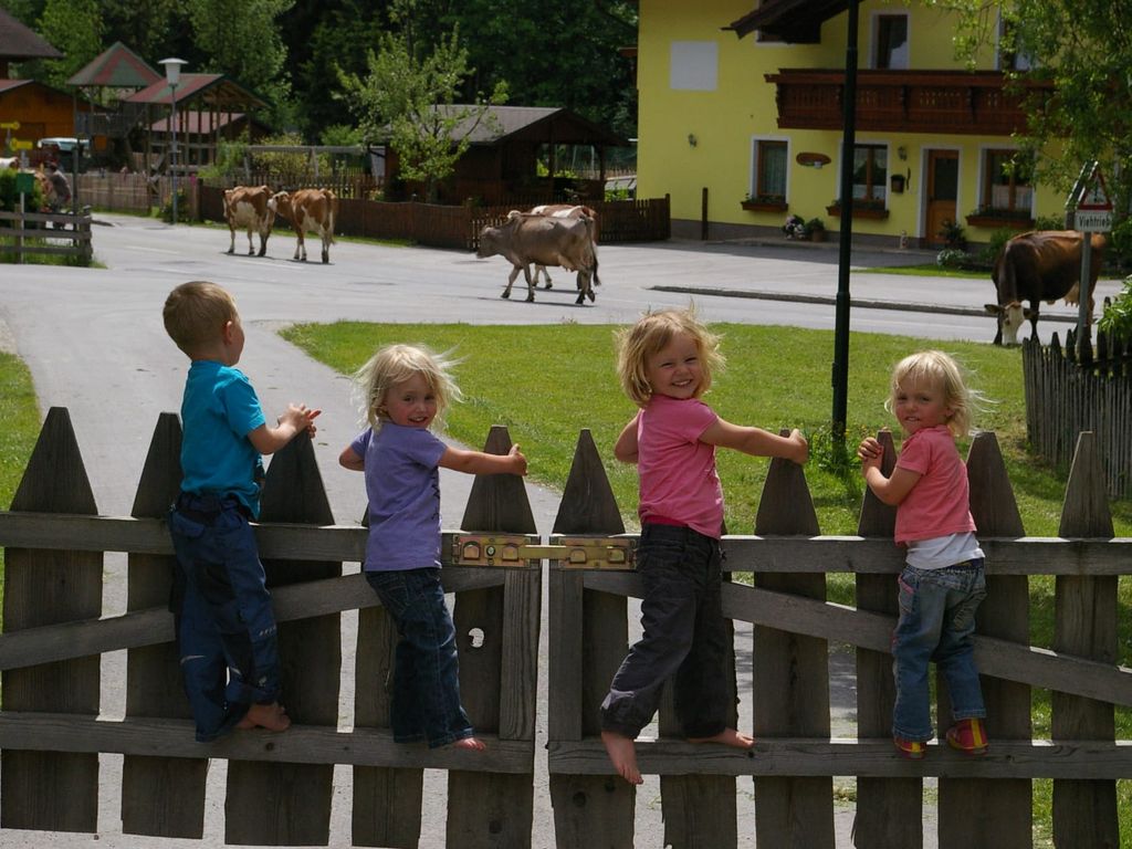 Zaungäste