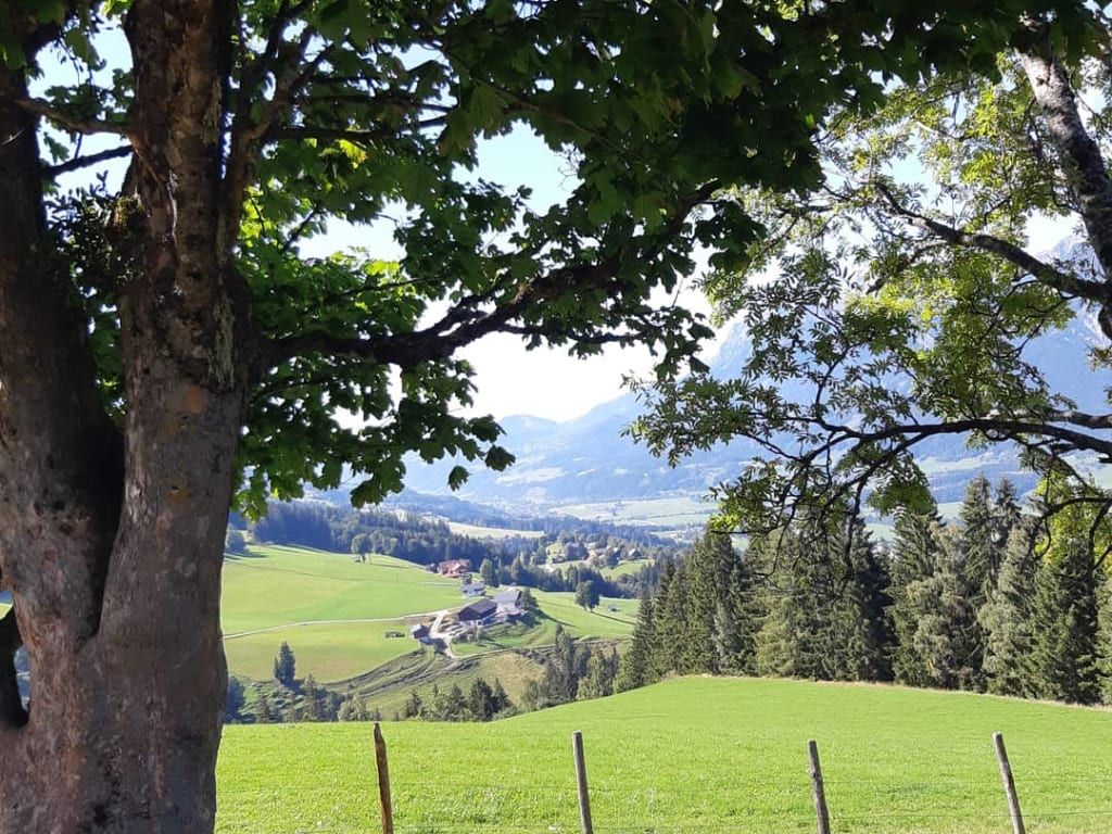 Hirzhof