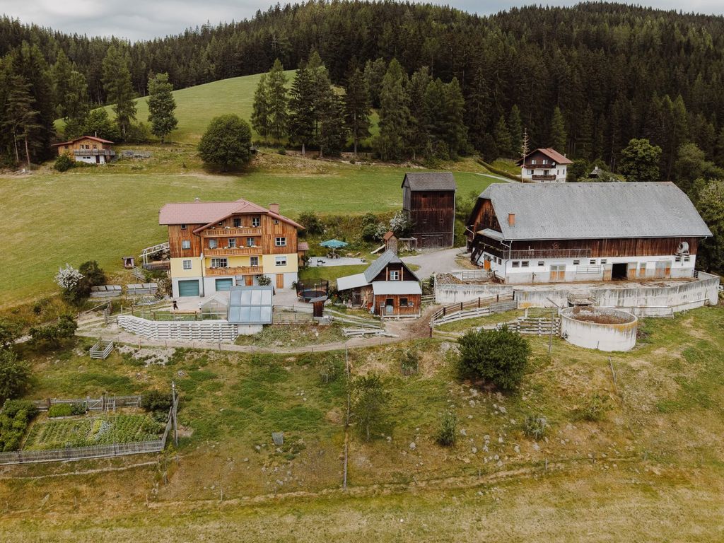 Der Bauernhof mit seinen Gebäuden, umgeben von grünen Wiesen und Wald im Hintergrund.