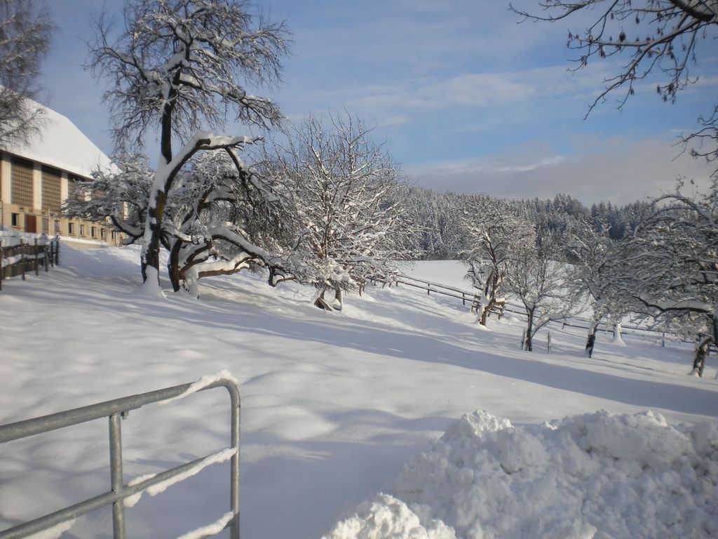 Der Bauernhof in winterlicher Landschaft mit verschneiten Bäumen und Feldern.