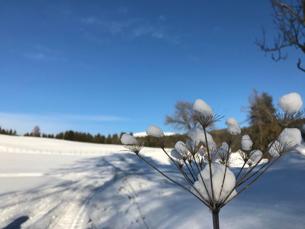 Winterlandschaft