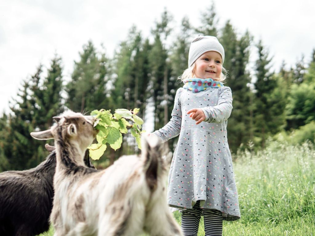 Neugierige Vierbeiner - Kinder & Babybauernhof Perhofer