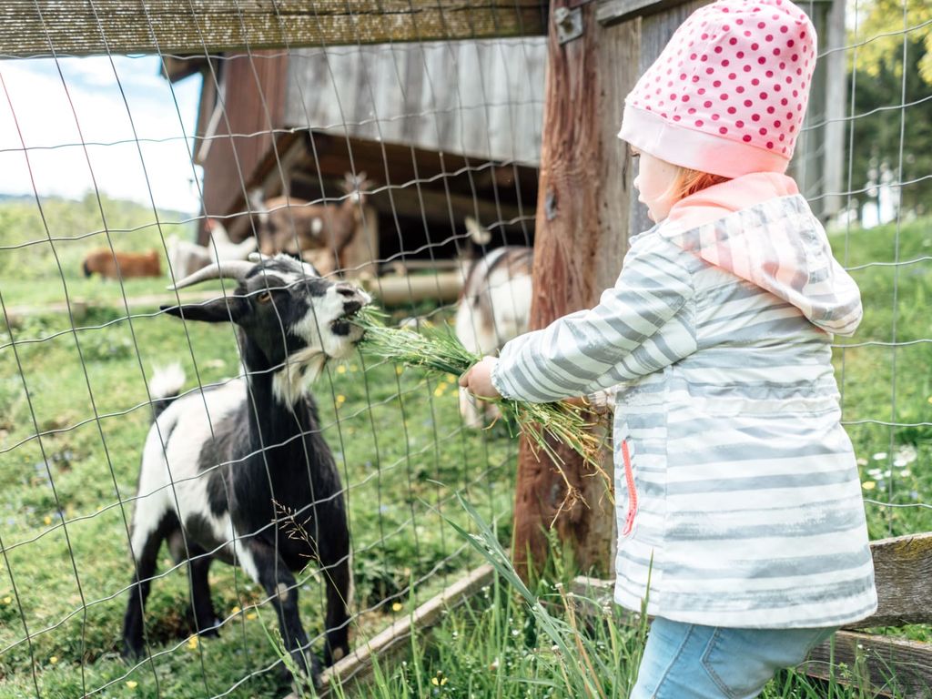 Die Streicheltiere am Baby und Kinderbauernhof Perhoferh