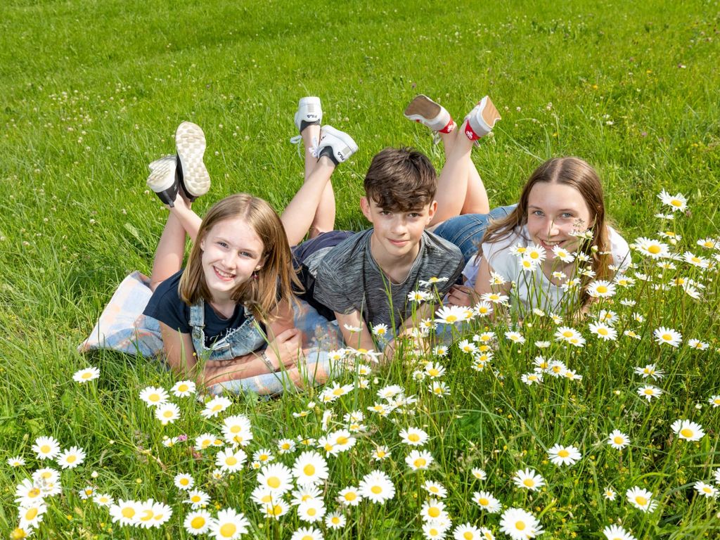 Kinder Blumenwiese