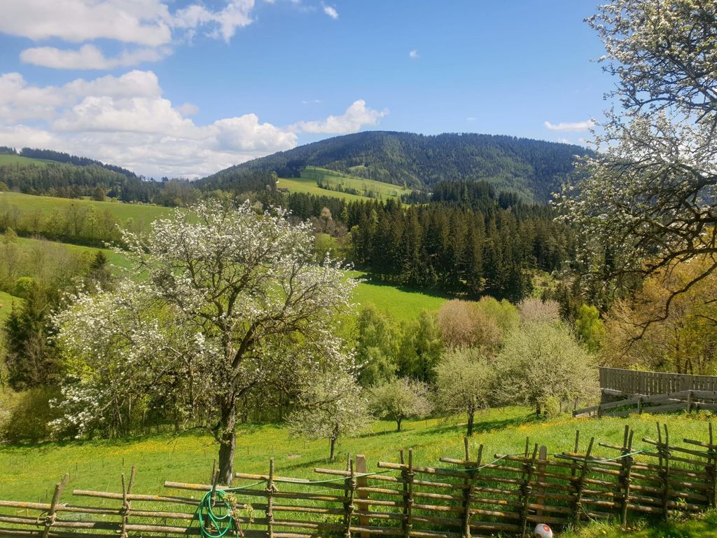 Balkonausblick