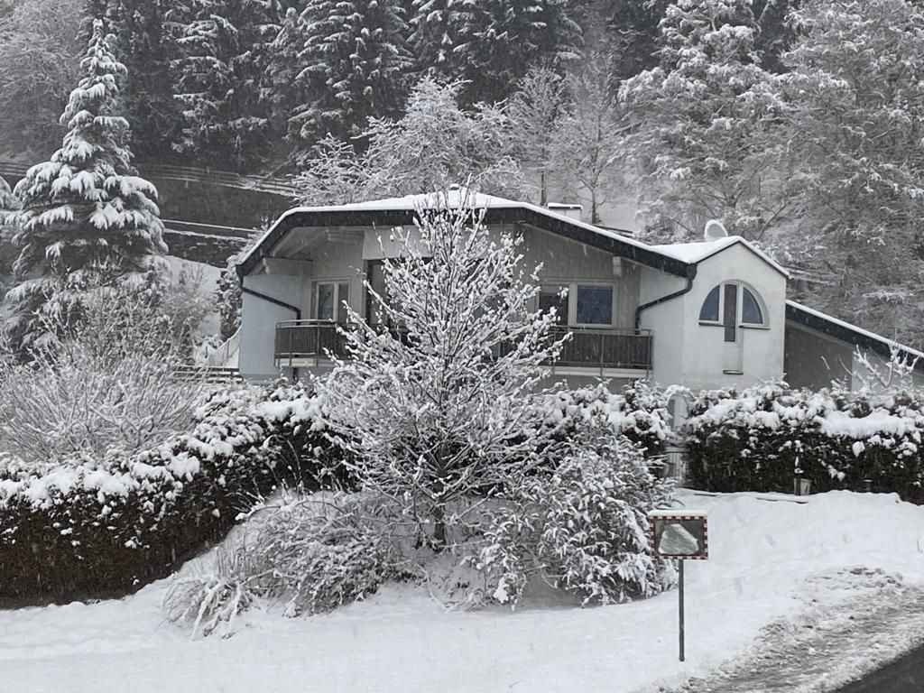 Winter