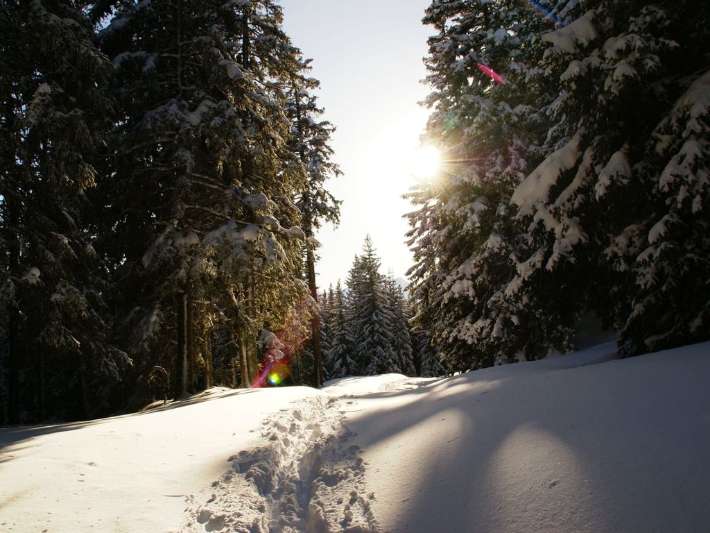 Winterlandschaft